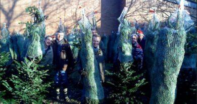 Commander votre sapin de Noël solidaire !